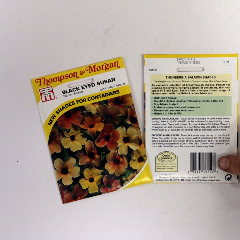 Ejemplo de ejemplar de Thunbergia alata Salmon Shades saco de 2 gramos de semillas tal y como se entrega