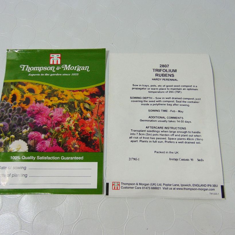 Ejemplo de ejemplar de Trifolium rubens (semillas) - Alfalfa roja saco de 100 semillas (0,25g) tal y como se entrega