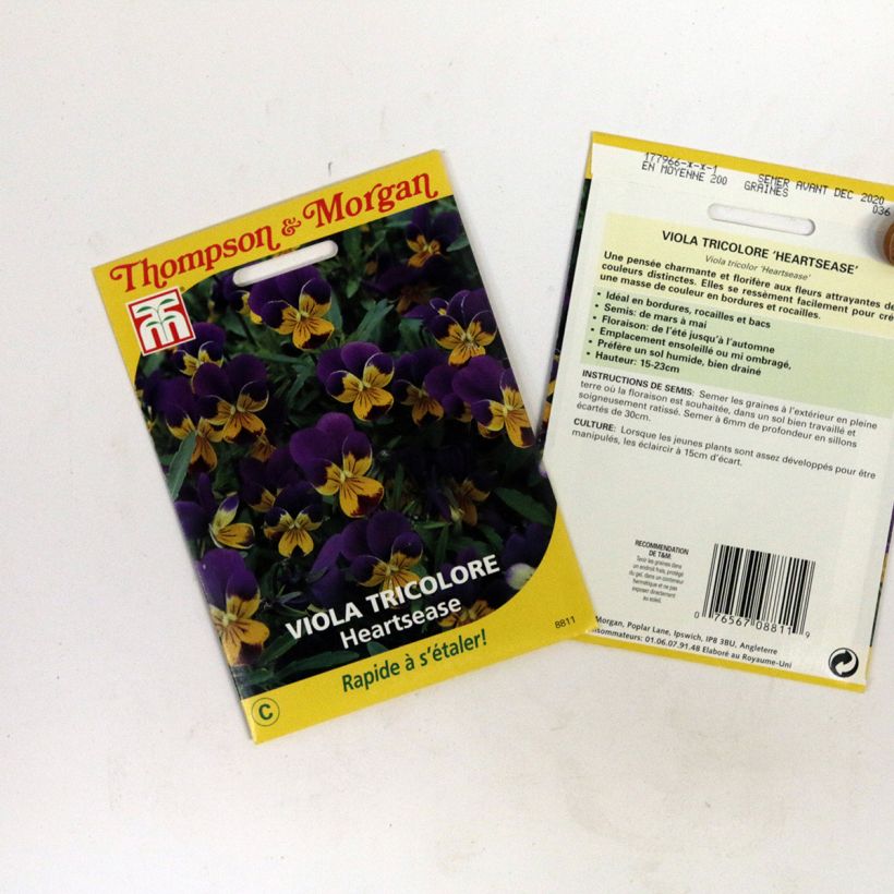 Ejemplo de ejemplar de Viola tricolor Tricolore Heartsease - Pensamiento saco de 100 semillas tal y como se entrega