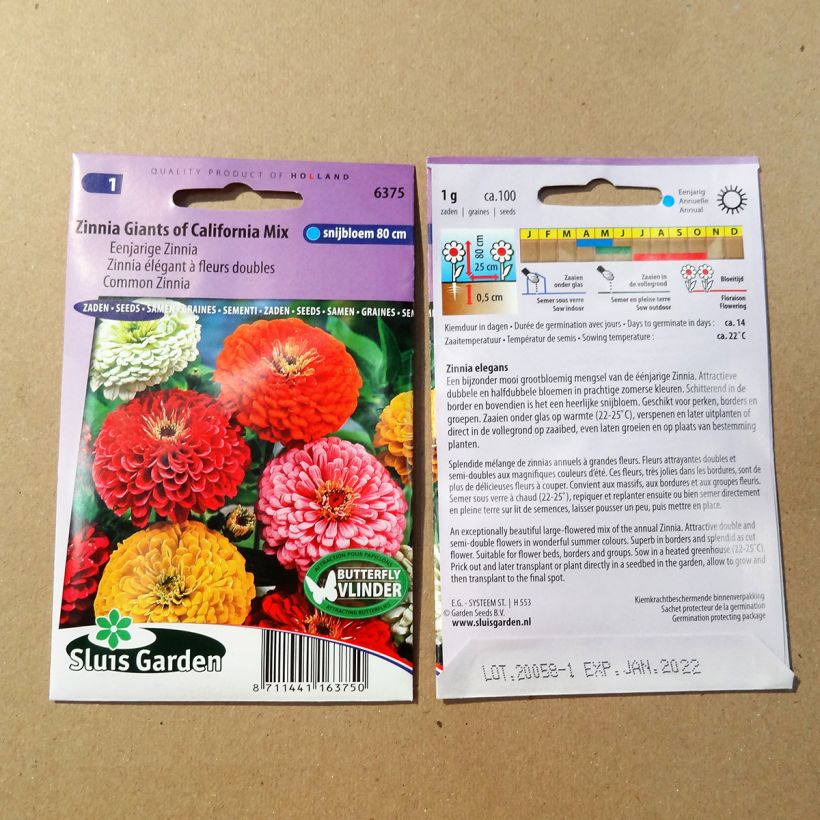 Ejemplo de ejemplar de Zinnia Giant of California Mix saco de 100 semillas (1g) tal y como se entrega