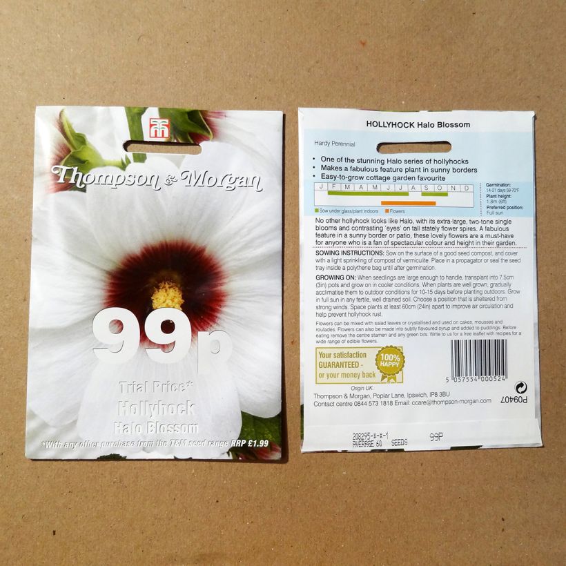 Ejemplo de ejemplar de Alcea rosea Halo Blossom - Malva real saco de 25 semillas tal y como se entrega