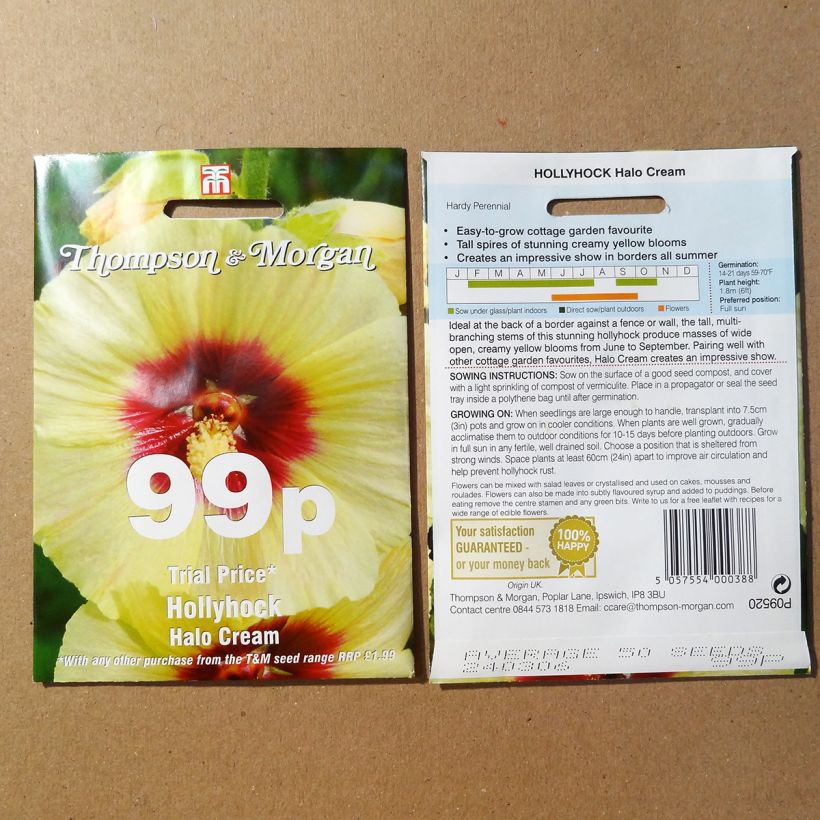 Ejemplo de ejemplar de Alcea rosea Halo Cream - Malva real saco de 25 semillas tal y como se entrega