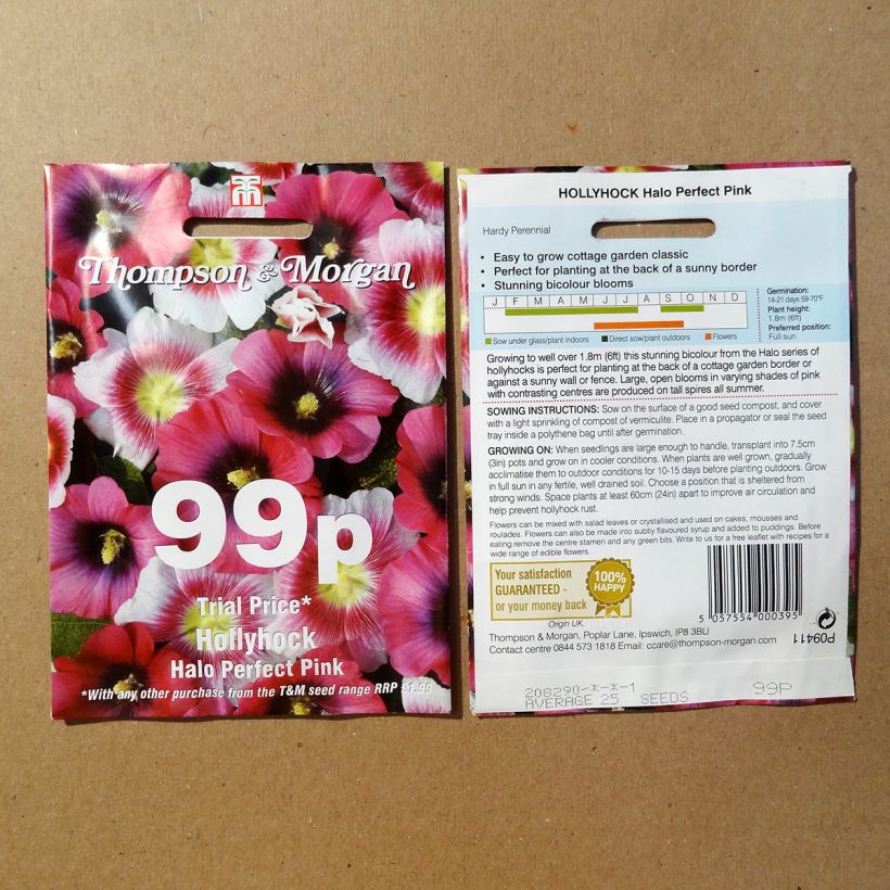 Ejemplo de ejemplar de Alcea rosea Halo Perfect Pink - Malva real saco de 25 semillas tal y como se entrega