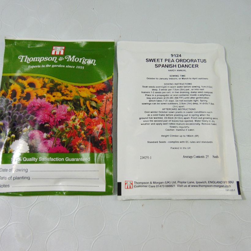 Ejemplo de ejemplar de Dianthus Russian Skies - Clavel saco de 30 semillas tal y como se entrega