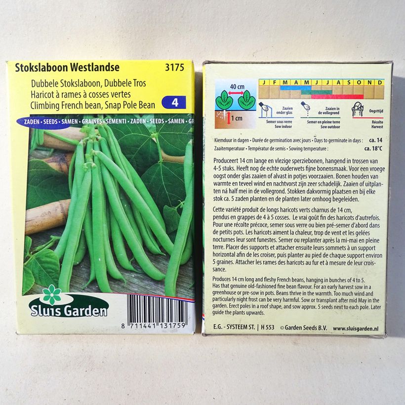 Ejemplo de ejemplar de Judía de enrame Westlandse saco de 200 semillas (100g) tal y como se entrega