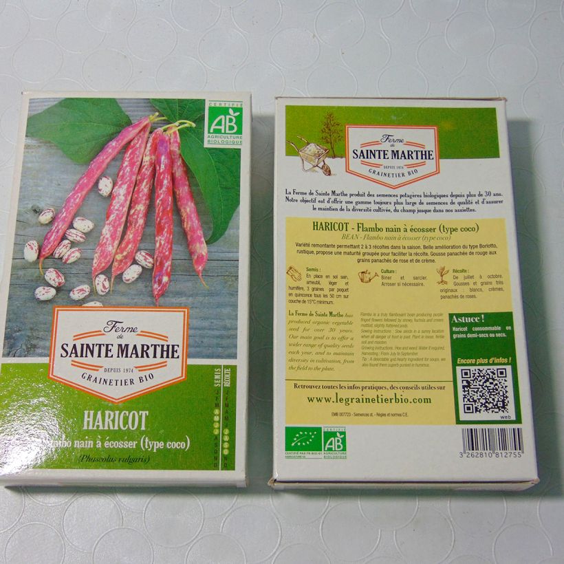 Ejemplo de ejemplar de Judía enana Flambo Bio - Ferme de Sainte Marthe saco de 180 semillas (80g) tal y como se entrega