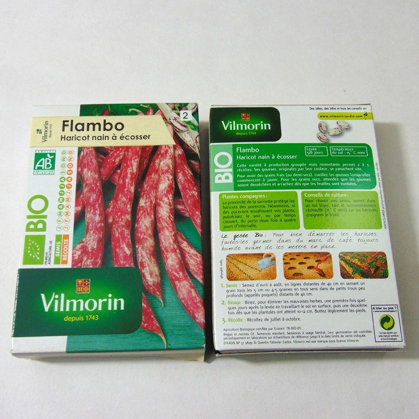 Ejemplo de ejemplar de Judía enana Flambo Bio - Vilmorin saco de 200 semillas (100g) tal y como se entrega