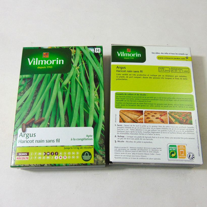 Ejemplo de ejemplar de Judía enana Argus - Vimorin saco de 200 semillas (100g) tal y como se entrega