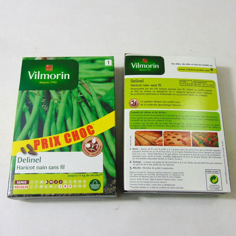 Ejemplo de ejemplar de Judía enana Delinel - Vilmorin saco de 280 semillas (140g) tal y como se entrega