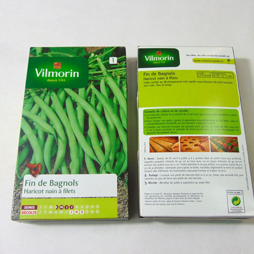 Ejemplo de ejemplar de Judía enana Fin de Bagnols - Vilmorin saco de 500 semillas (250g) tal y como se entrega