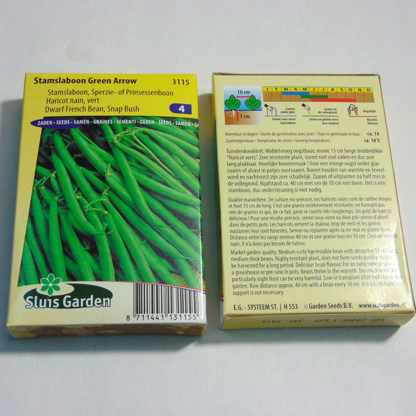 Ejemplo de ejemplar de Judía enana Green Arrow saco de 150 semillas (75g) tal y como se entrega