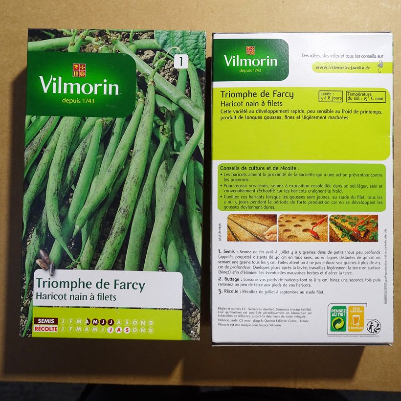 Ejemplo de ejemplar de Judía enana Triomphe de Farcy - Vilmorin saco de 500 semillas (250g) tal y como se entrega