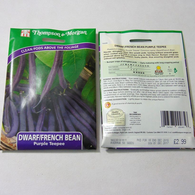 Ejemplo de ejemplar de Judía enana Purple Teepee saco de 50 semillas tal y como se entrega
