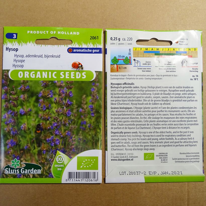 Ejemplo de ejemplar de Hisopo BIO saco de 220 semillas (0.25g) tal y como se entrega