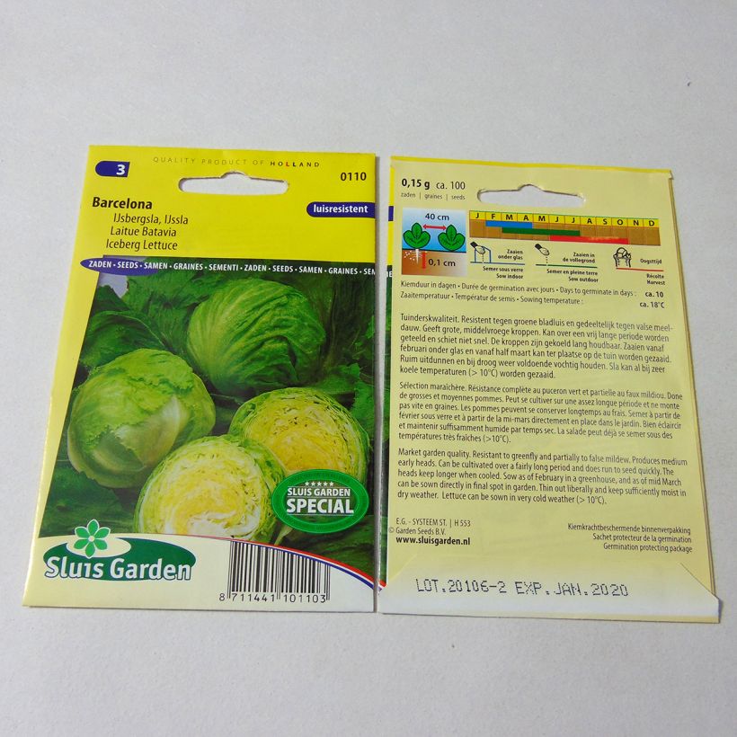 Ejemplo de ejemplar de Lechuga Batavia Barcelona saco de 100 semillas tal y como se entrega