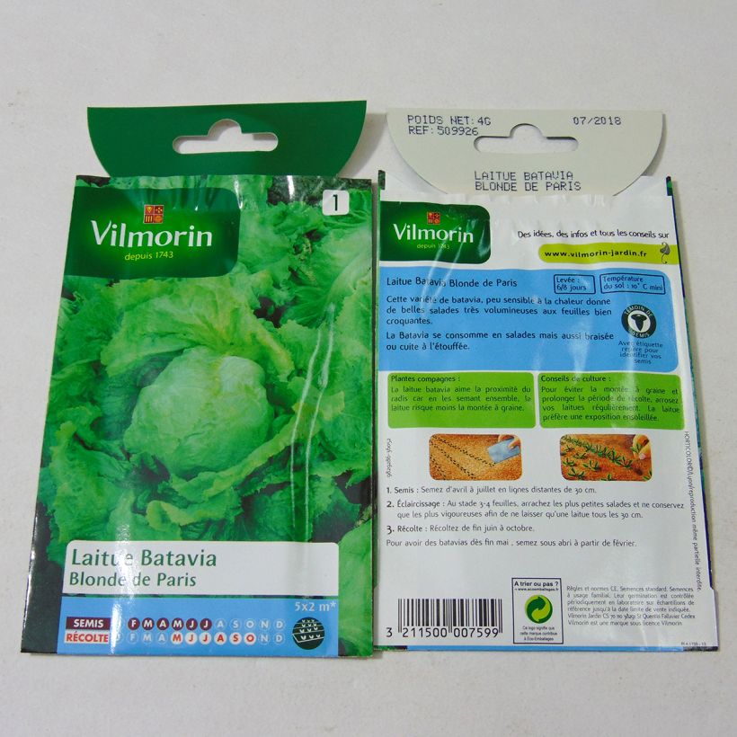 Ejemplo de ejemplar de Lechuga Batavia Blonde de Paris - Vilmorin saco de 3200 semillas (4g) tal y como se entrega