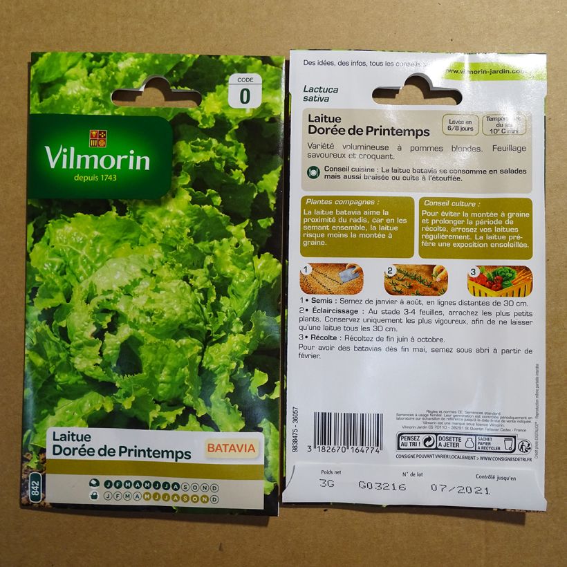 Ejemplo de ejemplar de Lechuga Batavia Dorée de Printemps - Vilmorin saco de 2400 semillas (3g) tal y como se entrega