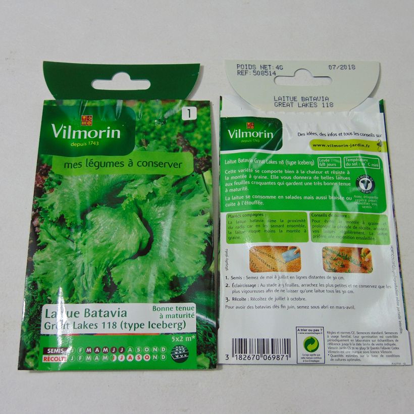 Ejemplo de ejemplar de Lechuga Batavia Great Lakes 118 - Vilmorin saco de 3200 semillas (4g) tal y como se entrega