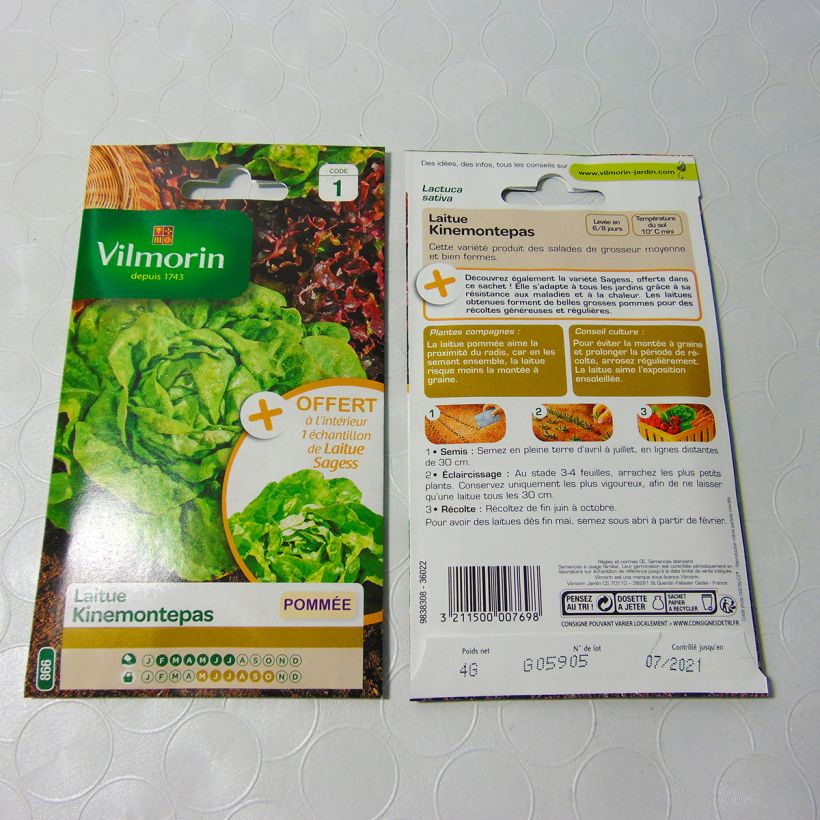 Ejemplo de ejemplar de Lechuga batavia Kinemontepas - Vilmorin saco de 3200 semillas (4g) tal y como se entrega