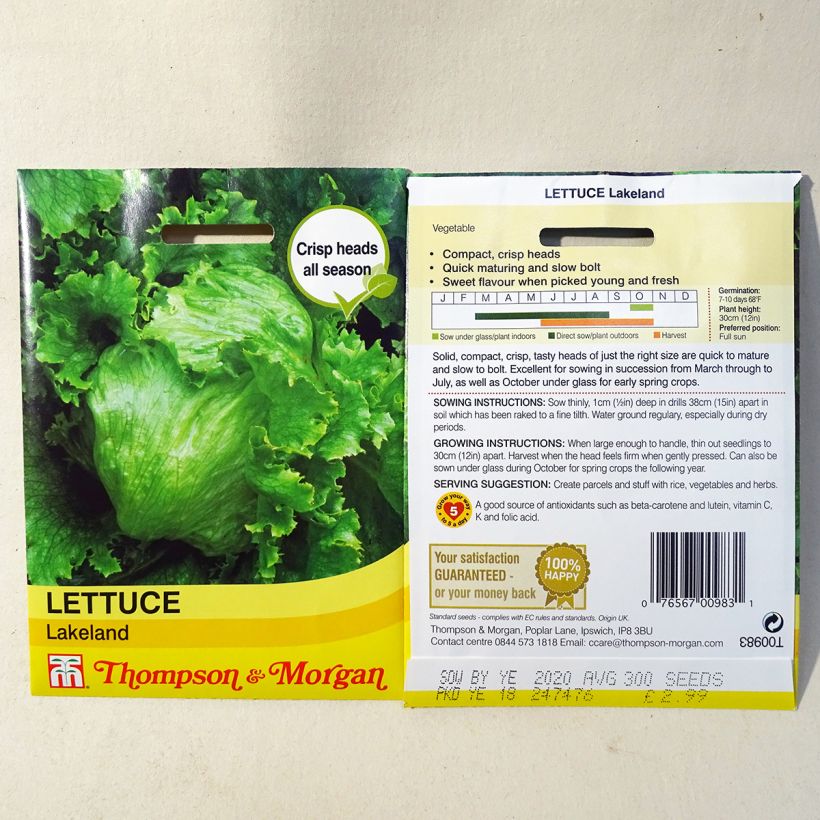 Ejemplo de ejemplar de Lechuga batavia Lakeland saco de 300 semillas tal y como se entrega