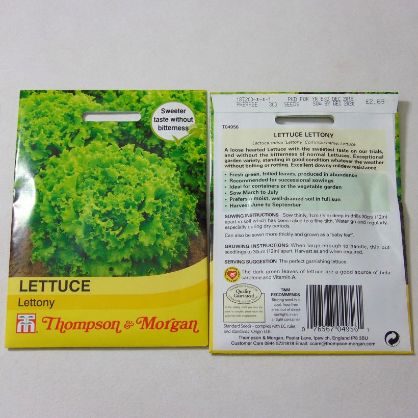 Ejemplo de ejemplar de Lechuga batavia Lettony saco de 300 semillas tal y como se entrega
