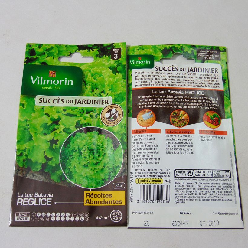 Ejemplo de ejemplar de Lechuga batavia Reglice F1 saco de 1600 semillas (2g) tal y como se entrega