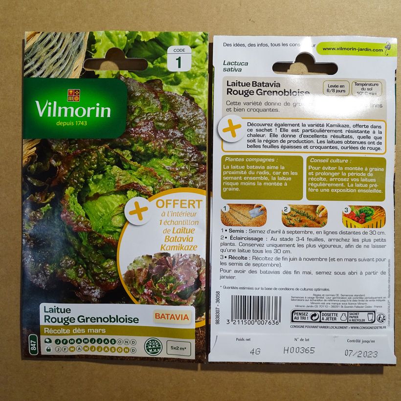 Ejemplo de ejemplar de Lechuga Batavia Roja Grenobloise - Vilmorin saco de 3200 semillas (4g) tal y como se entrega