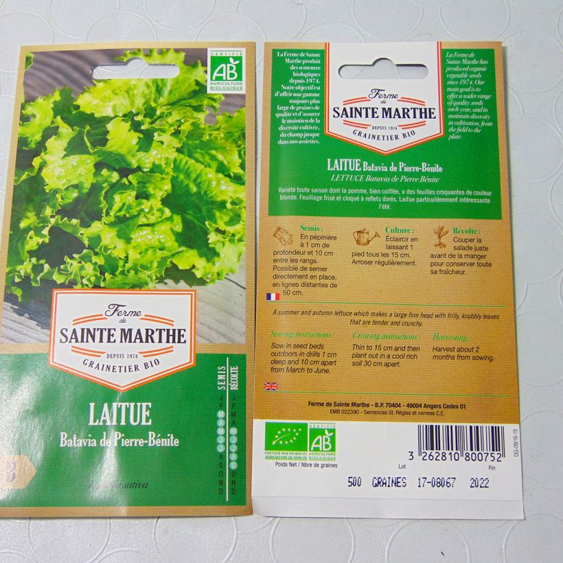 Ejemplo de ejemplar de Lechuga batavia de Pierre Bénite - Ferme de Sainte Marthe saco de 500 semillas (3g) tal y como se entrega