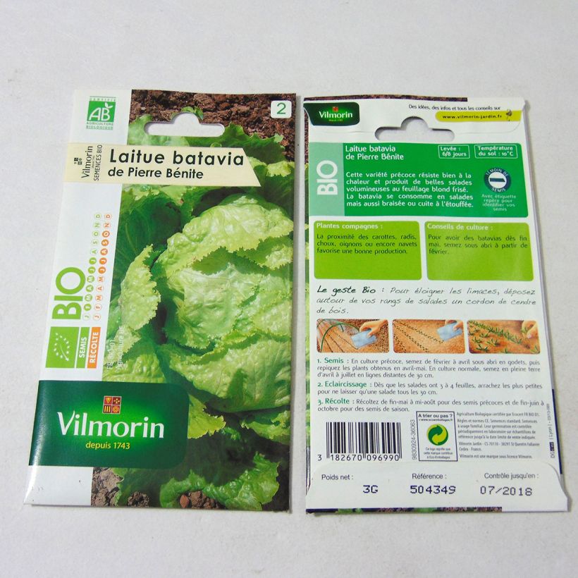 Ejemplo de ejemplar de Lechuga batavia De Pierre Bénite Bio saco de 2400 semillas (3g) tal y como se entrega
