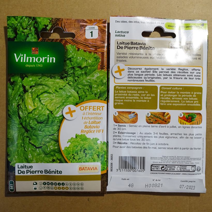 Ejemplo de ejemplar de Lechuga batavia de Pierre Bénite - Vilmorin saco de 3200 semillas (4g) tal y como se entrega
