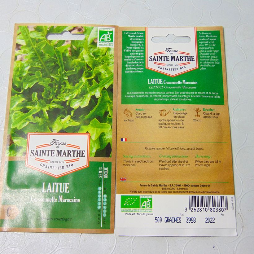 Ejemplo de ejemplar de Lechugas Radichetta Bio - Ferme de Sainte Marthe saco de 400 semillas tal y como se entrega