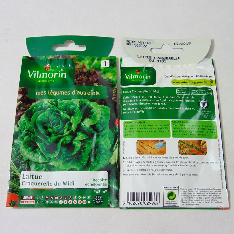 Ejemplo de ejemplar de Lechugas Craquerelle du Midi - Vilmorin saco de 3200 semillas (4g) tal y como se entrega