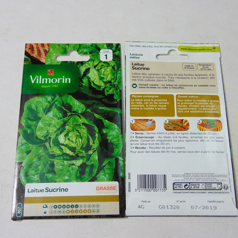 Ejemplo de ejemplar de Lechugas Sucrine saco de 3200 semillas (4g) tal y como se entrega