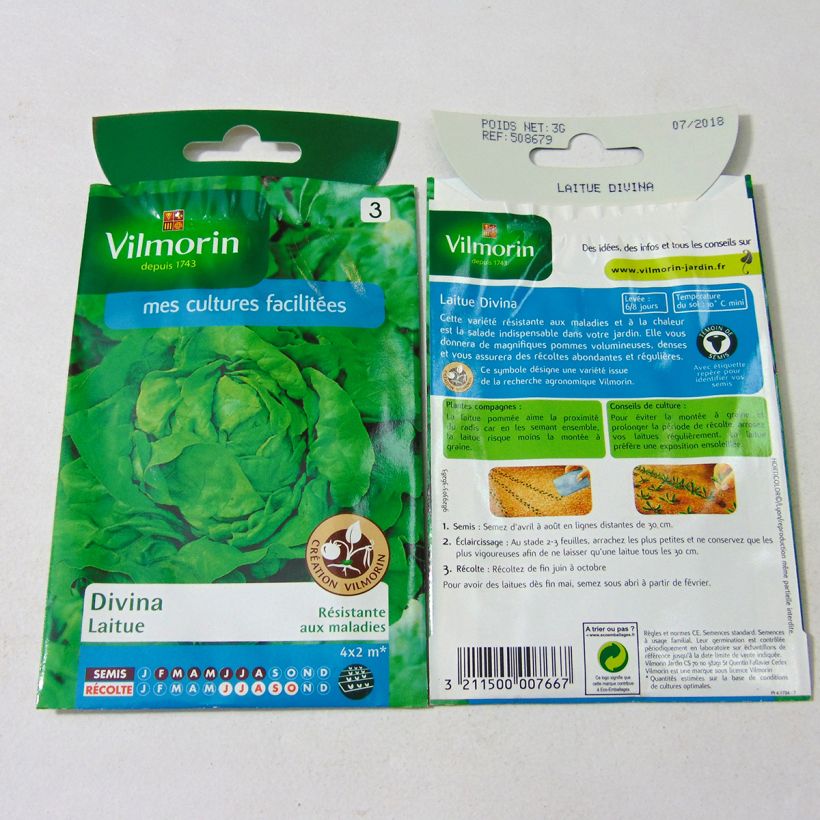 Ejemplo de ejemplar de Lechuga Divina - Vilmorin saco de 2400 semillas (3g) tal y como se entrega