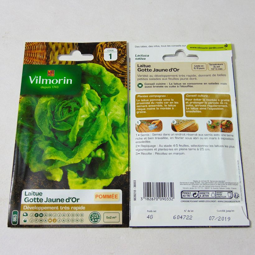 Ejemplo de ejemplar de Lechuga Gotte Jaune (Gotte dorée) saco de 3200 semillas (4g) tal y como se entrega