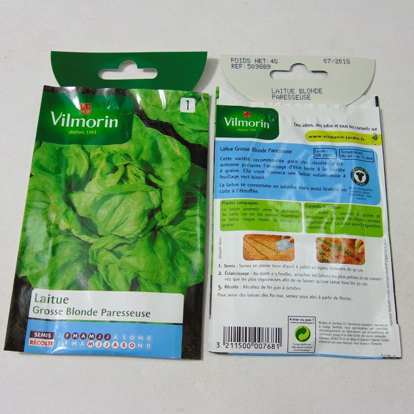 Ejemplo de ejemplar de Lechuga Grosse Blonde Paresseuse saco de 3200 semillas (4g) tal y como se entrega