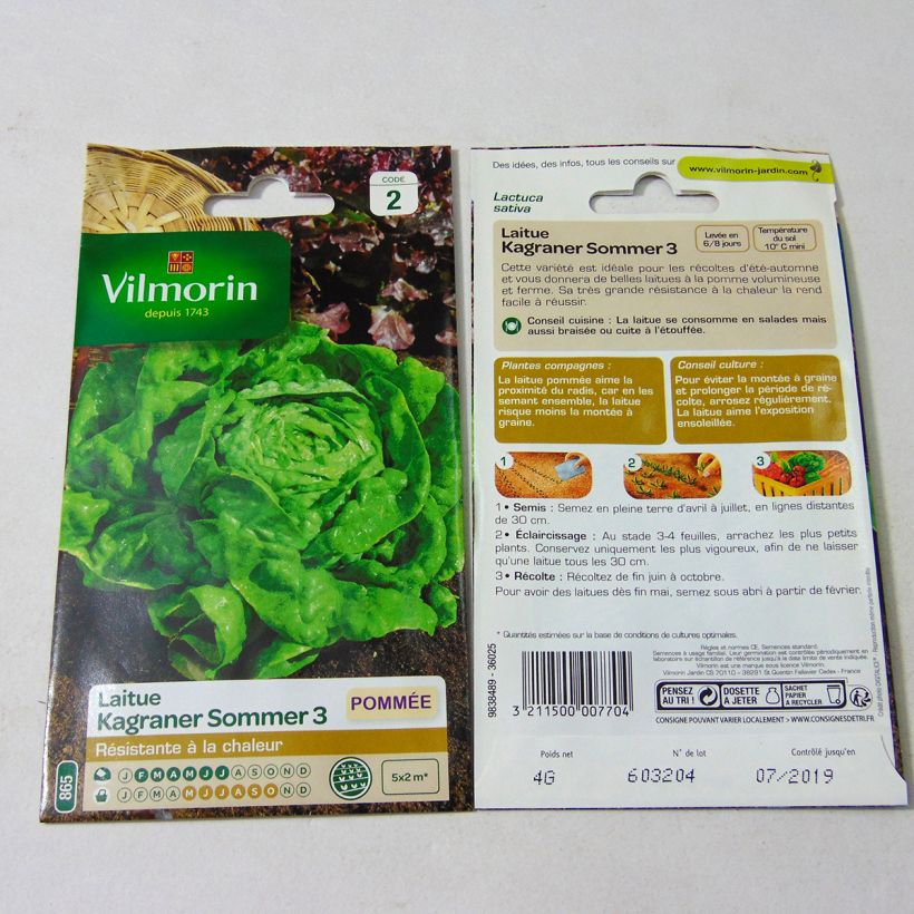 Ejemplo de ejemplar de Lechuga Kagraner Sommer 3 saco de 3200 semillas (4g) tal y como se entrega