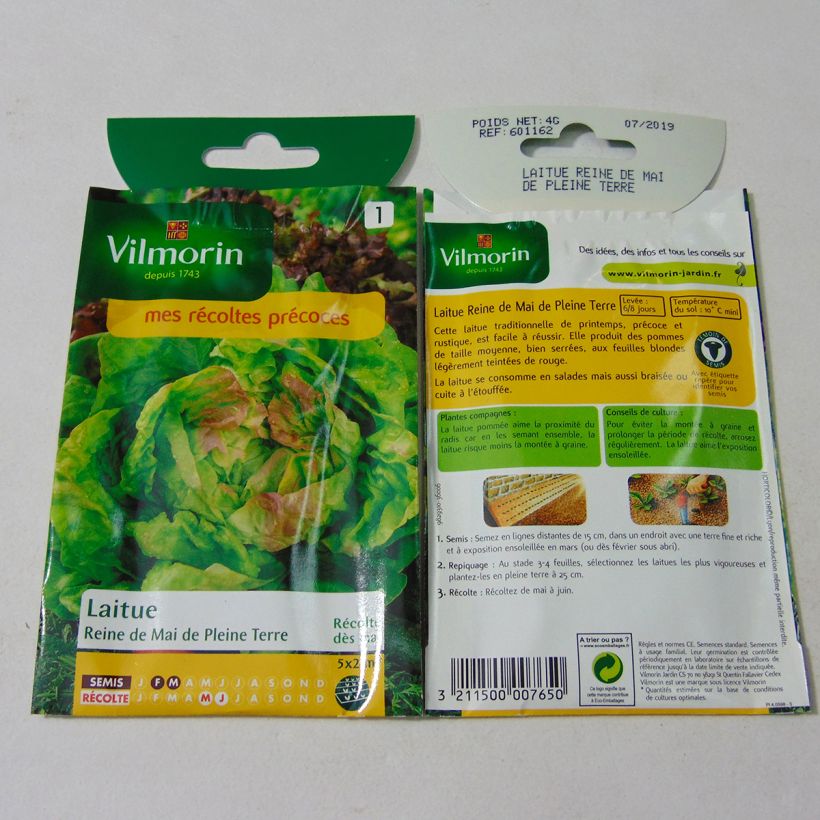 Ejemplo de ejemplar de Lechuga Reine de Mai - Vilmorin saco de 3200 semillas (4g) tal y como se entrega