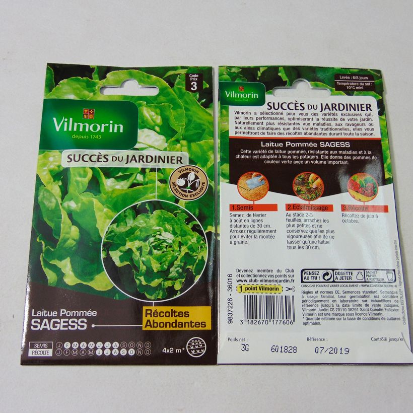 Ejemplo de ejemplar de Lechuga Sagess saco de 2400 semillas (3g) tal y como se entrega