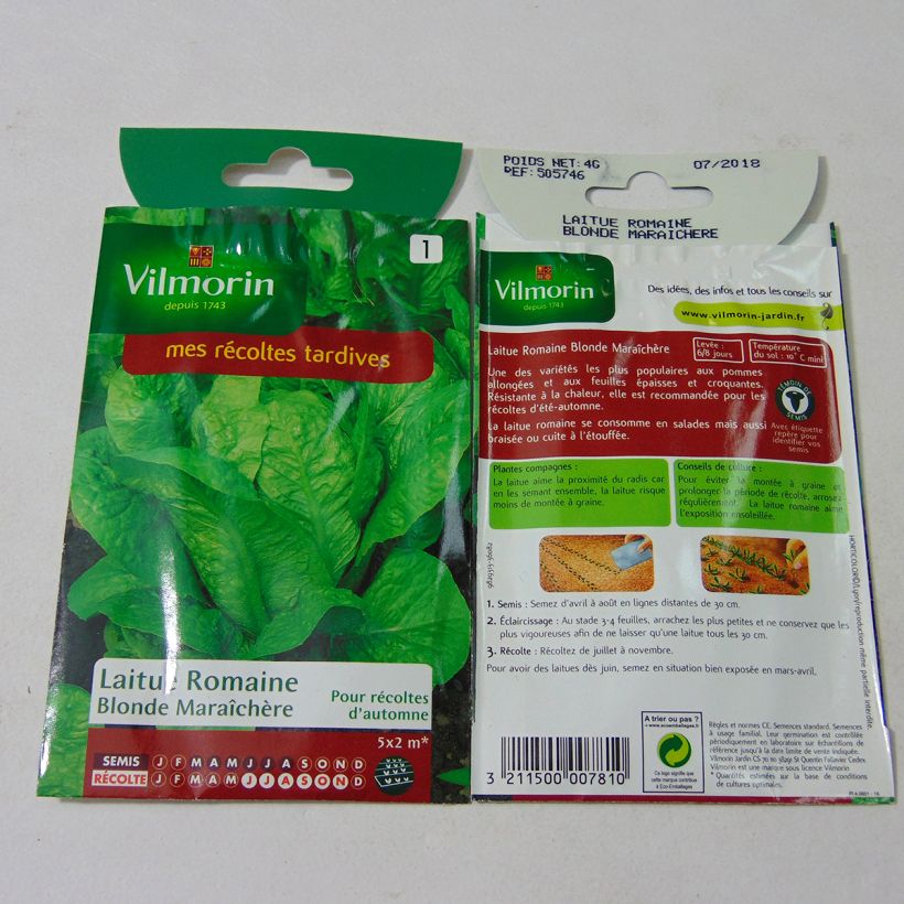 Ejemplo de ejemplar de Lechugas Romaine Blonde Maraîchère - Vilmorin saco de 3200 semillas (4g) tal y como se entrega