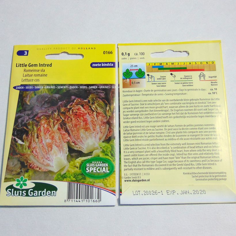 Ejemplo de ejemplar de Lechugas Little Gem Intred saco de 100 semillas tal y como se entrega