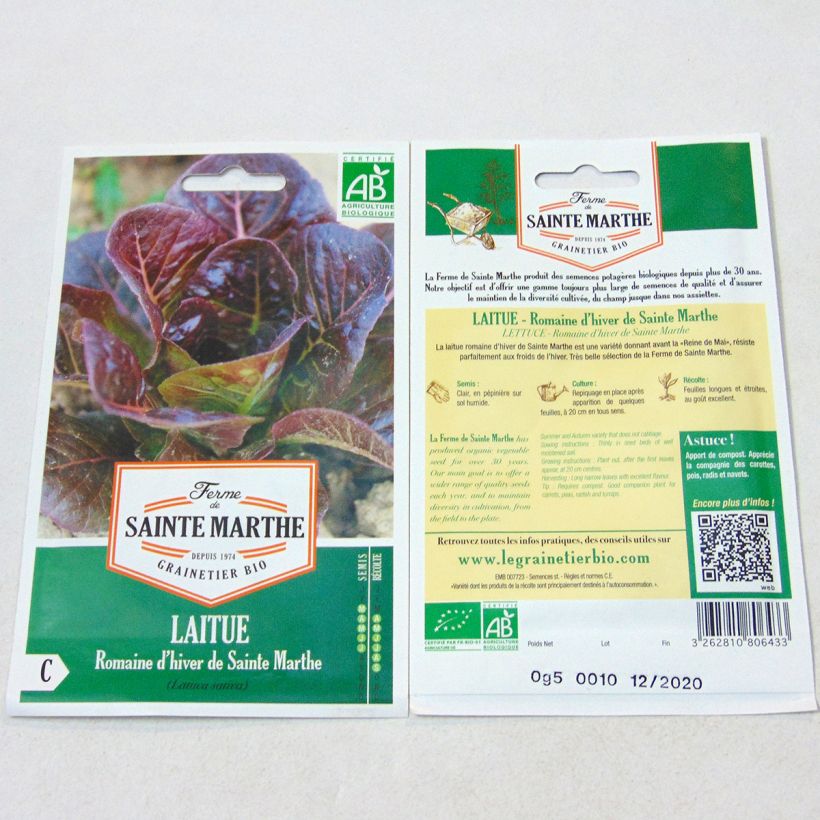 Ejemplo de ejemplar de Lechugas Romaine d'Hiver de Sainte-Marthe saco de 350 semillas tal y como se entrega