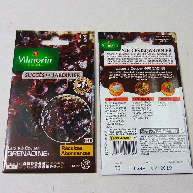 Ejemplo de ejemplar de Lechugas Grenadine saco de 3000 semillas (3g) tal y como se entrega