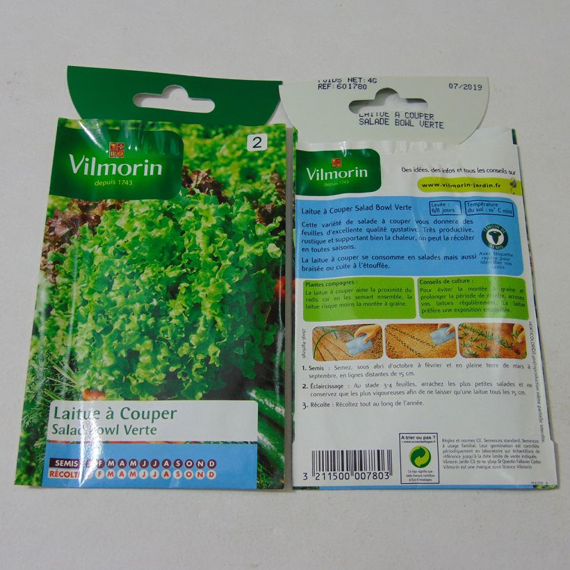 Ejemplo de ejemplar de Lechugas Salad Bowl Verte - Vilmorin saco de 3200 semillas (4g) tal y como se entrega