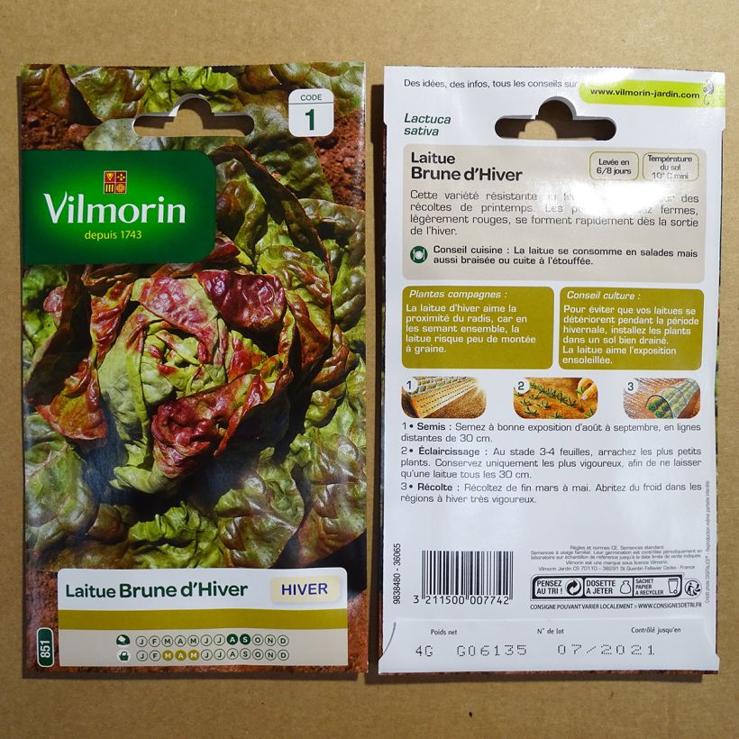 Ejemplo de ejemplar de Lechugas Brune d'Hiver - Vilmorin saco de 3200 semillas (4g) tal y como se entrega