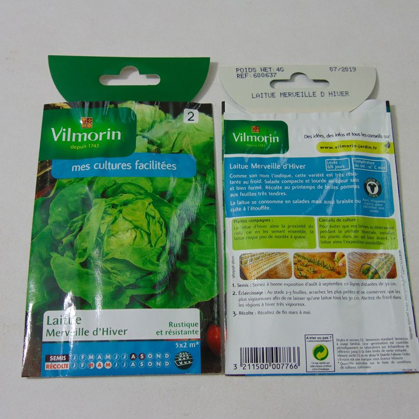 Ejemplo de ejemplar de Lechugas Merveille d'Hiver - Vilmorin saco de 3200 semillas (4g) tal y como se entrega