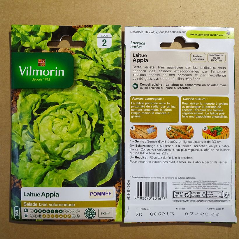 Ejemplo de ejemplar de Lechuga Appia - Vilmorin saco de 2400 semillas (3g) tal y como se entrega