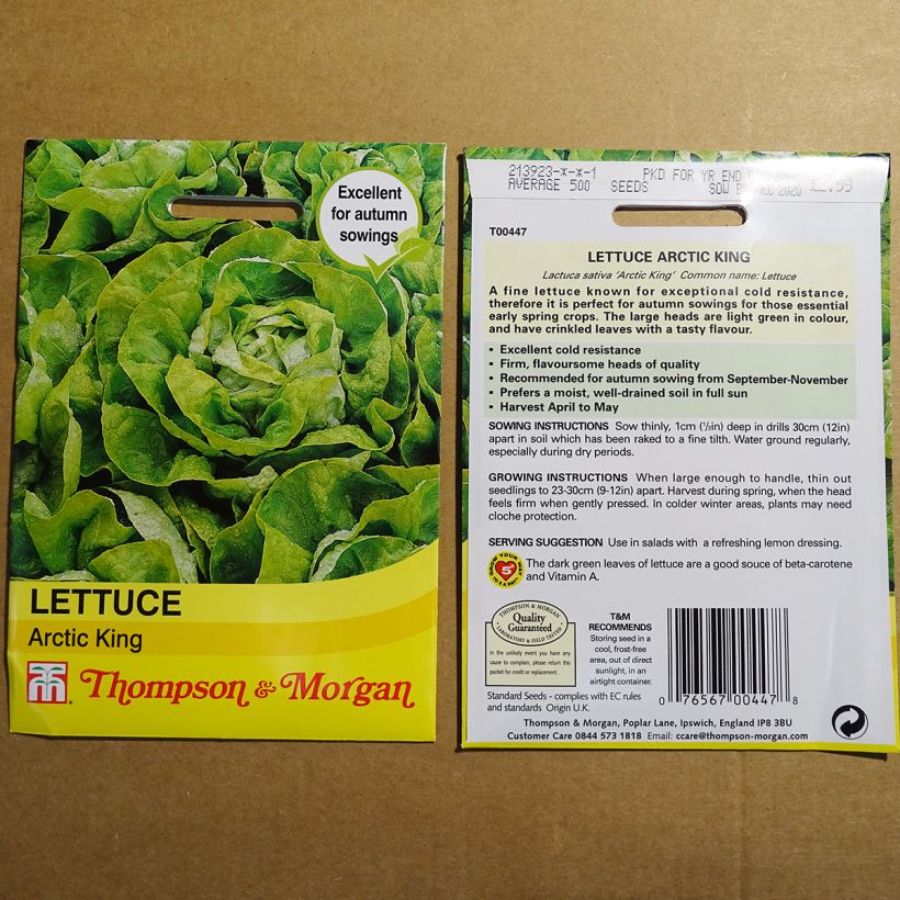Ejemplo de ejemplar de Lechuga Artic King saco de 1750 semillas tal y como se entrega