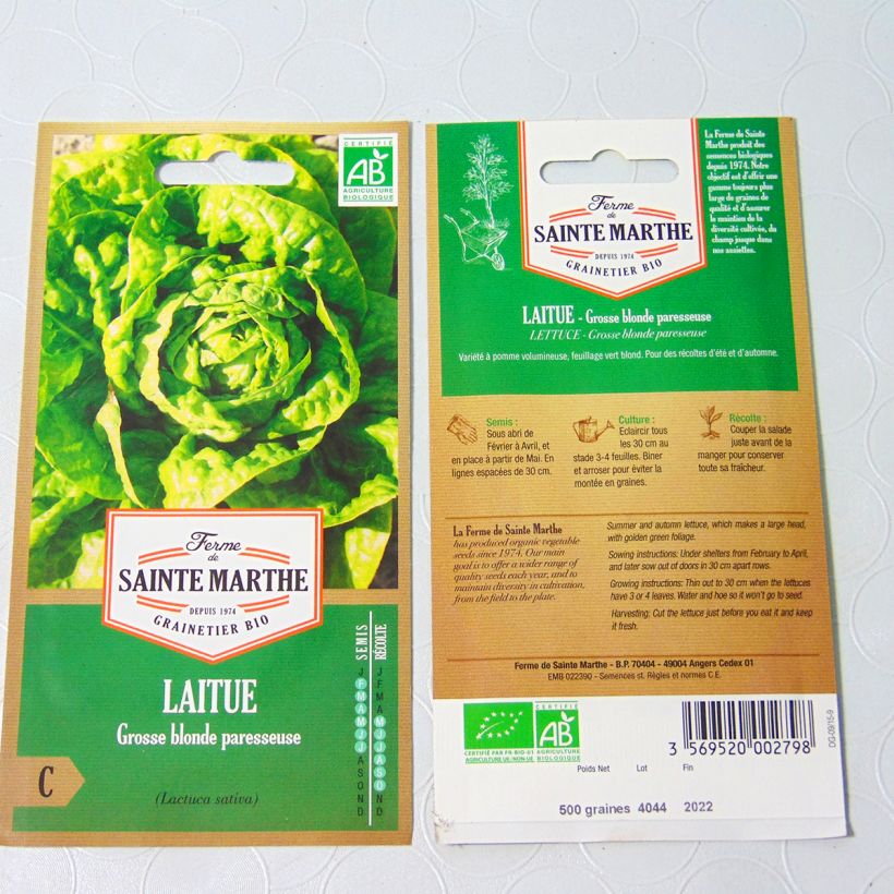 Ejemplo de ejemplar de Lechuga Grosse Blonde Paresseuse Bio - Ferme de Sainte Marthe saco de 500 semillas tal y como se entrega