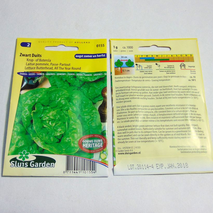 Ejemplo de ejemplar de Lechuga Passe-Partout saco de 1000 semillas (1g) tal y como se entrega